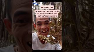 😂😂😂 אילו הם חיי #נדלן #הומור #תיווך  #שורטס