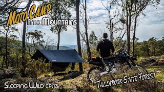 Ep.13 |  Motorcycle Camping Solo In The Mountains | Silent Vlog