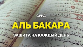 Аль Бакара сура слушайте каждый день в ваших домах