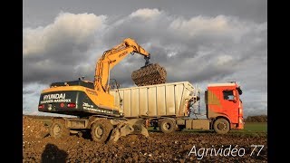 Chargement de betteraves en conditions humides / Transports Mauroux / Agrividéo 77