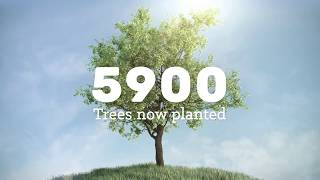 Help plant trees around the world