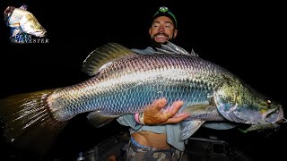 Barramundi fishing, a true 45 pounder..