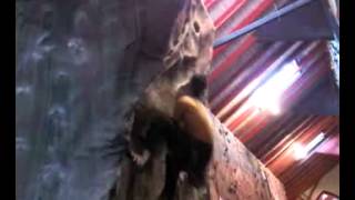 bouldering dyno awesome walls Liverpool