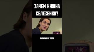 Зачем нужна селезенка? Объясняем под Niletto - "Любимка".