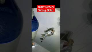 Night Bottom Fishing Qatar #shorts #shortvideo #shortsfeed #shortvideo #fypシ #fishing #fish #ofw