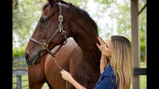 American Humane Sanctuary