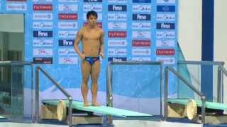 FINA Diving World Series Springboard 3m Men Dubai 2012 clip