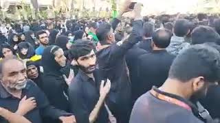 Live karbala | Arbaeenwalk | Mir hasan mir | Azadarehussaini