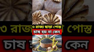 পোস্ত চাষ করা অসম্ভব কেন ?🤔😱 || #shorts #viral #short #পোস্ত সমাধান