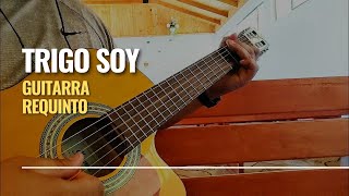 TRIGO SOY | Requinto - punteo cristiano | Guitarra