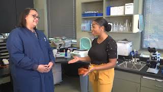 Everyday Kentucky: KBC Reference Lab and Rare Blood Donors