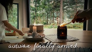 🕯️🍂 slow living at the cabin-blueberry harvesting, walk in the rain, bird watching, silent aesthetic