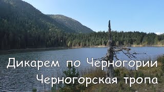 Черногория. Поход по черногорской тропе #черногория #жабляк #дурмитор