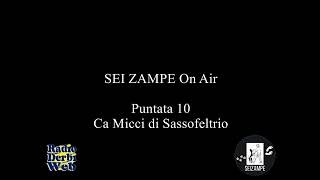 SEI ZAMPE ON AIR per Radio Derbi Web - Puntata 10 - Ca Micci di Sassofeltrio