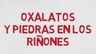 OXALATOS DE LOS ALIMENTOS Y PIEDRAS EN LOS RIÑONES