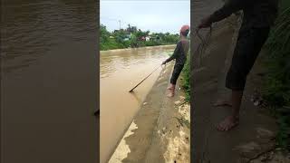 Fisherman Cast Net Fishing Real Life Amazing Fishing At Countryside.(Episode 151)