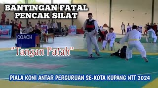 BANTINGAN FATAL PENCAK SILAT (Tangan Patah) || Piala Koni Antar Perguruan Se-kota Kupang NTT 2024