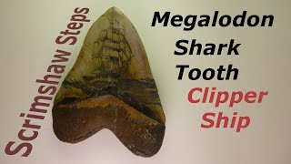 Scrimshaw Steps by Adams - Clipper Ship on Megalodon Shark Tooth