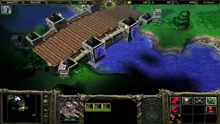 Amateur Plays || Warcraft 3 Into the Realm Eternal