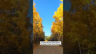 About 1-1.5 hours from Denver, see the Peak to Peak Highway's foliage the last week of September!