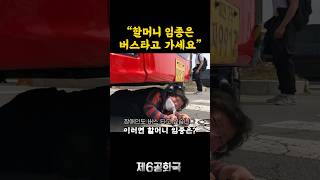 버스를 타고 갈 수 없는 이유