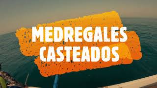 MEDREGALES CASTEADOS