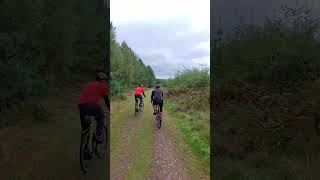 Easy Gravel Ride on Cannock Chase