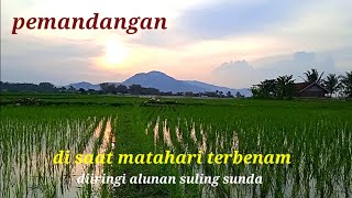 pemandangan sawah yang bikin tenang hati#suasanapedesaan #sulingbambu #pemandanganalam #sulingsunda