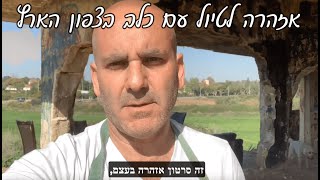 אזהרה והתנהלות נכונה לטיול עם כלב בצפון הארץ