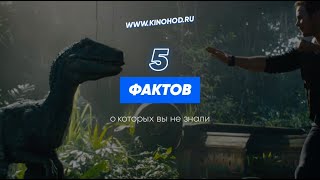 5 фактов о всеми любимых фильмах