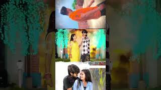 Bol senorw sad song maghi Aashish yadav ke new #trendingvideo sad song #shorts