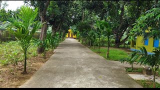 "একটি গাছ একটি প্রান"  MY HORTICULTURE ORCHARD  🌳🌲🌴