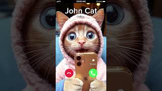 BABY JOHN CAT IS CALLING 👋🐯😂👍