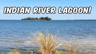 Explore Indian River Lagoon's Rich Ecosystem