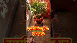 तुलसी विवाह का शुभ मुहूर्त Tulsi Vivah 2023 Shubh Muhurat #tulsi tulsi vivah shub muhurt