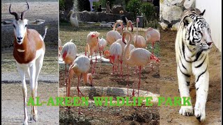 AL-AREEN WILDLIFE PARK & RESERVE