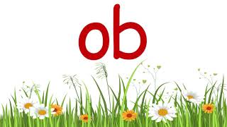 Vowel and consonant blends with o as vowel