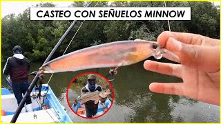 PARGO Y ROBALO EN EL MANGLAR