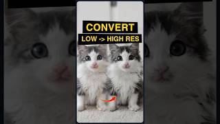 How to Easy Convert Low to High Res in Photoshop Tutorial #tutorial #digitalart #photooftheday