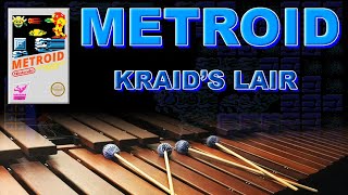 Kraid's Lair | Metroid | Chill music for marimba