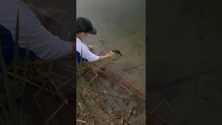 Lil man catches nice little bass!!#bassfishing #lilman #bass #bassfish