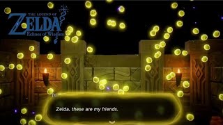 Finding Tri's Friends 💛 | Zelda: Echoes of Wisdom