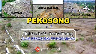 Seluas Mata Memandang Alam PEKOSONG Pringgabaya