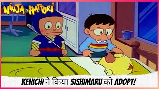 Kenichi ने किया Sishimaru को adopt!  | Ninja Hattori