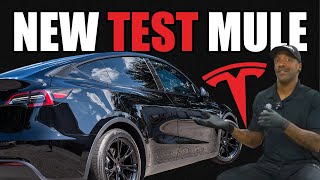 2023 Tesla Model Y | SuperiorDetailer’s New Shop Car!