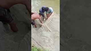 Best Fishing video#video #fishing #amazinganimals #fishingmethod #fishing #video #fishingmethod