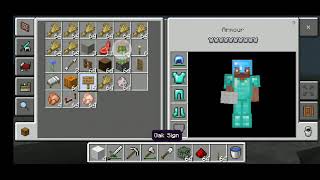 minecraft playing (2)