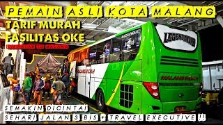 TARIF MURAH FASILITAS OKE ?? SIAPA YANG TAK MAU | TRIP MALANG INDAH BIS ASLI KOTA APEL [DPS-MLG]