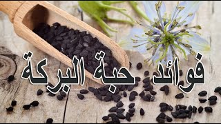 فوائد حبة البركة وتجارتها