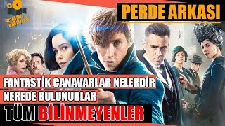 Fantastik Canavarlar Nelerdir, Nerede Bulunurlar Filminin Kamera Arkası!